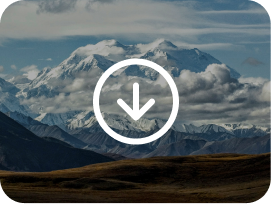 download icon