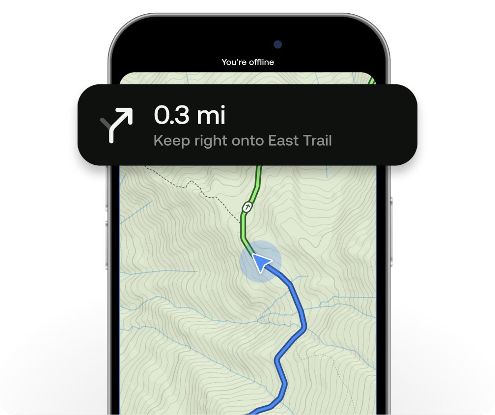 Image of phone screen